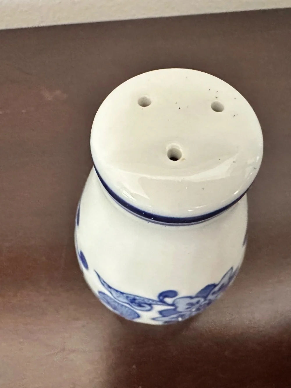 Pier 1 Ceramic Salt & Pepper Shakers~Blue & White~Floral~EUC